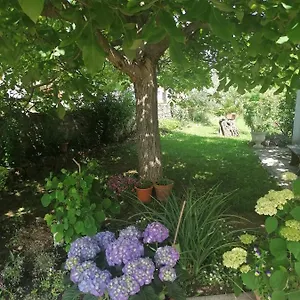 provjera dostupnosti